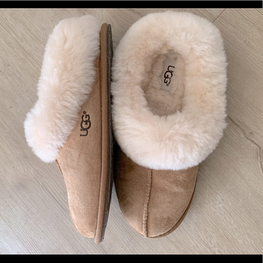 UGGS Women Slippers